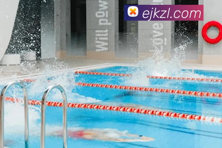 尊龙凯时平台生态图